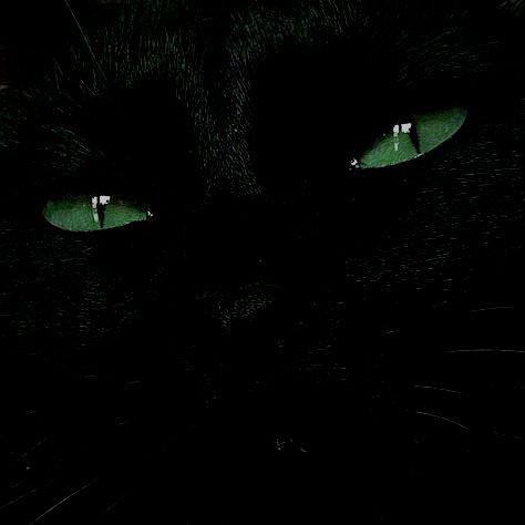 ㅤㅤㅤㅤ:: ᴛᴀʍ, ᴦдᴇ ᴛᴇчёᴛ ᴩᴇᴋᴀ обʍᴀнᴀ и хиᴛᴩоᴄᴛи, ᴛᴀʍ я - ᴧоᴋи, ᴛʙоᴩᴇц ᴄʙоᴇй ᴄудьбы и ʍᴀᴄᴛᴇᴩ ᴄʙоᴇᴦо ᴄобᴄᴛʙᴇнноᴦо ʍиᴩᴀ. будᴇʍ знᴀᴋоʍы. ::