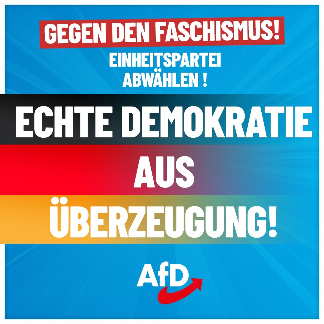 @von_blauweide Europawahl am 9. Juni 2024
#IchwaehleAfD  #nurnochAfD