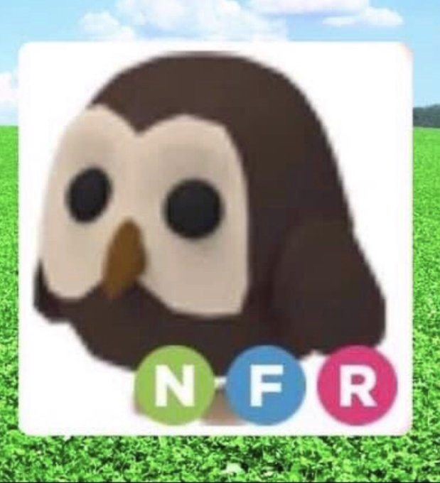 ◡̈ KIMMYNOTONE 🌿 tweet media