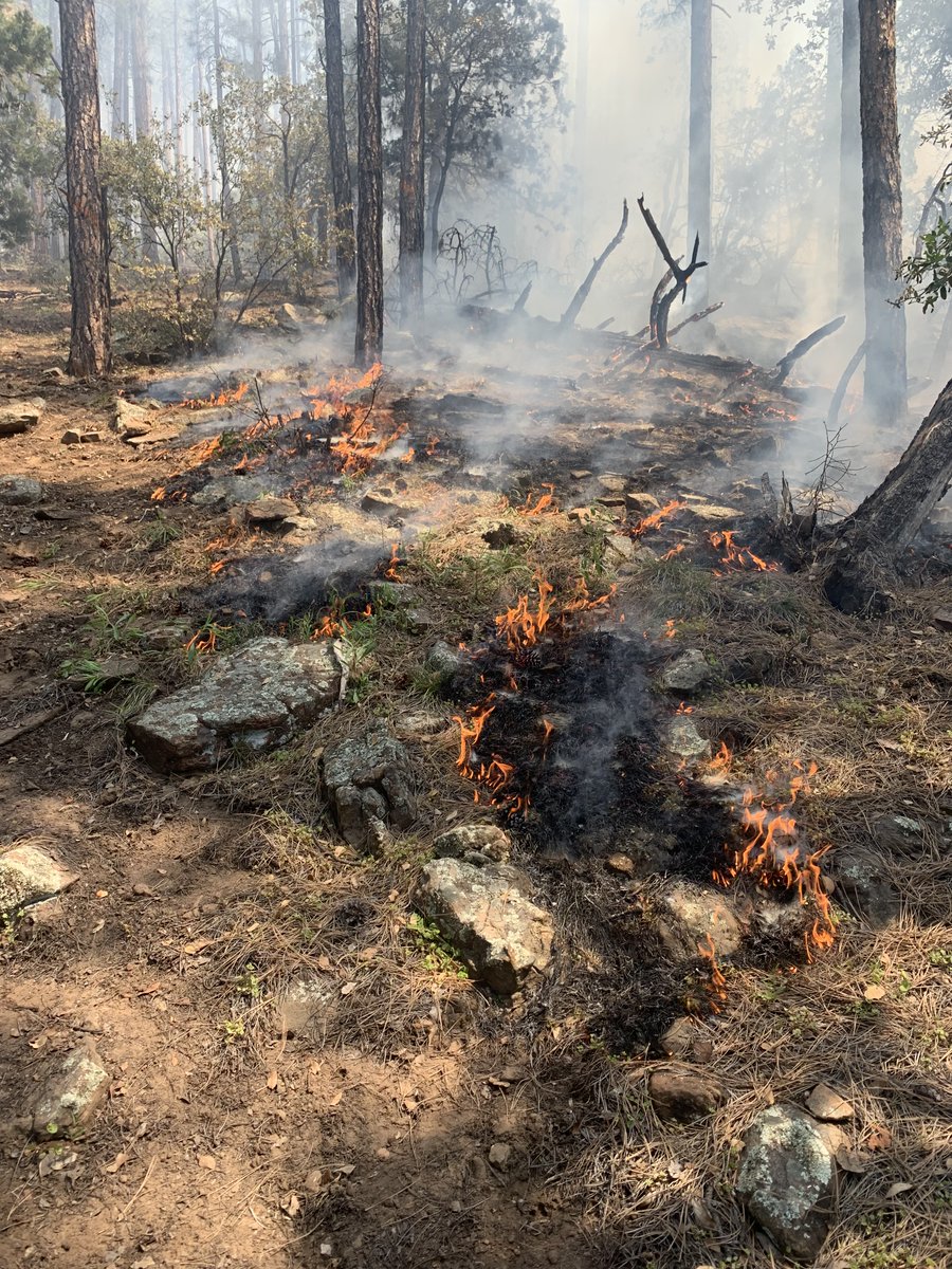 Fire crews are responding to a new fire start east of Pine near Dripping Springs. The #RimFire was reported at approximately 1:22 p.m. and is estimated to be one to two acres. Responding resources are four engines, one  hotshot crew, one type 3 and two type 1 helicopters.