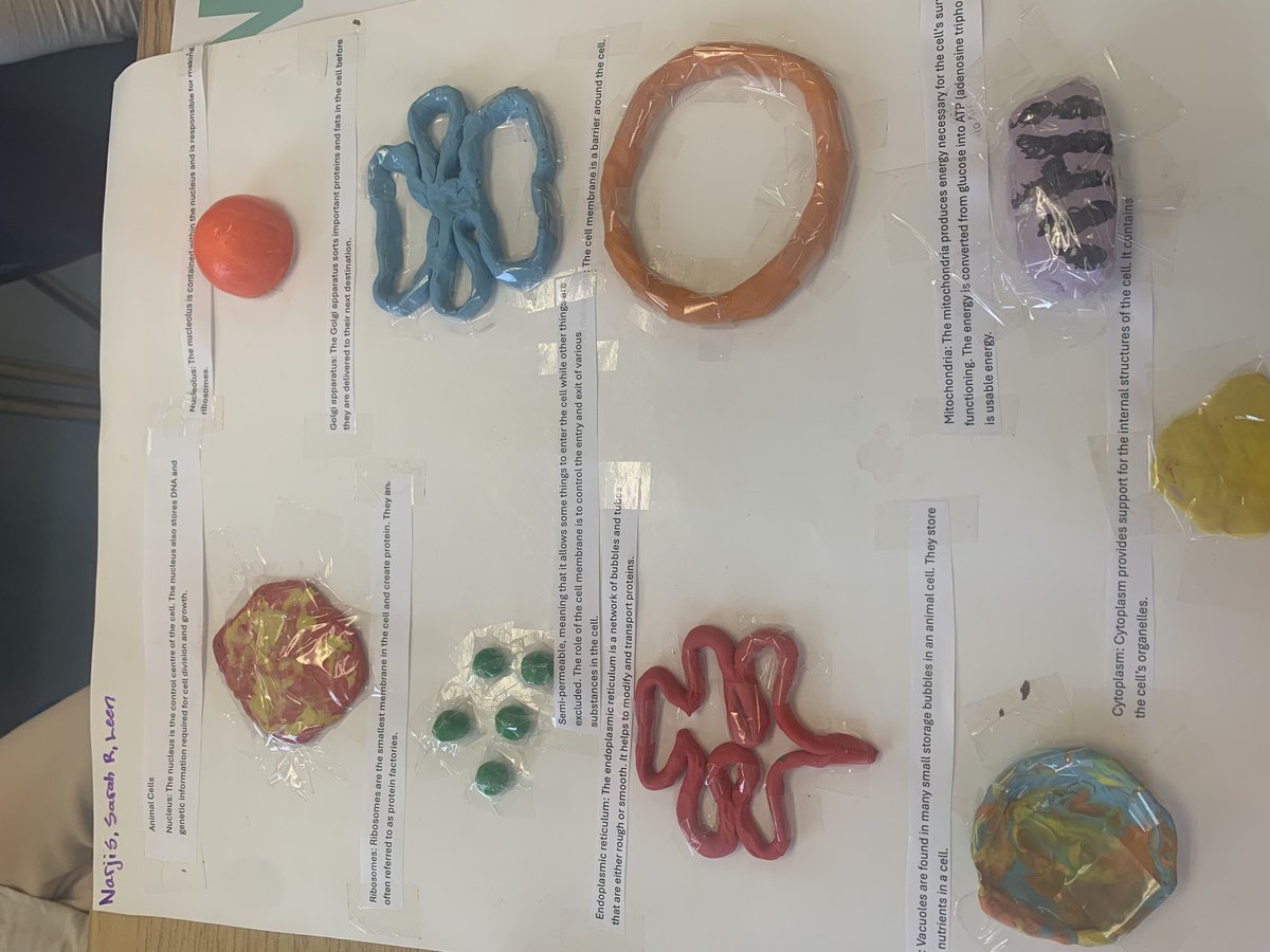 Roseland Home of the Rams tweet media