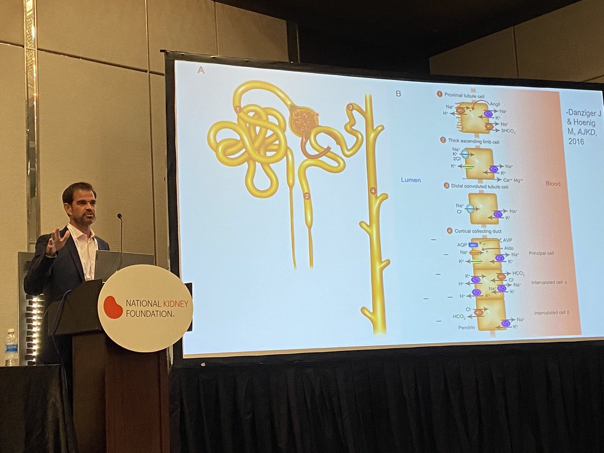 Keiko Greenberg MD (@keikogneph) on Twitter photo Closing the fluids/electrolytes/acid-base preconference with sodium - first, <a href="/TWhittier_RUSH/">Bill Whittier</a> eloquently talking sodium homeostasis #NKFClinicals Closing the fluids/electrolytes/acid-base preconference with sodium - first, <a href="/TWhittier_RUSH/">Bill Whittier</a> eloquently talking sodium homeostasis #NKFClinicals