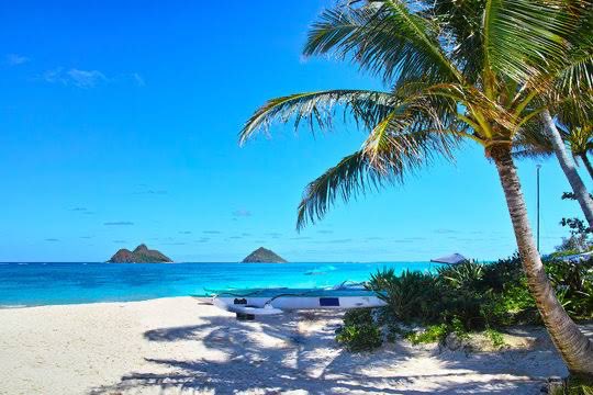 Summenightdream's tweet photo. おはモン🏝️今日は晴れて天気良い🌞
素敵な１日にしましょう✨勿論歯はしっかり磨きましたよ😈 https://t.co/CNZMIHx12v