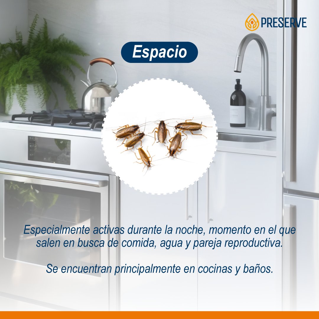 Grupo Preserve tweet media