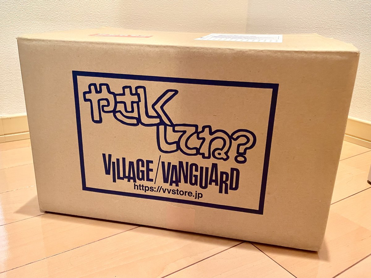 おはヴィ ˎˊ˗ 自分で言うのもなんですがこの段ボール…なんか捨てれない