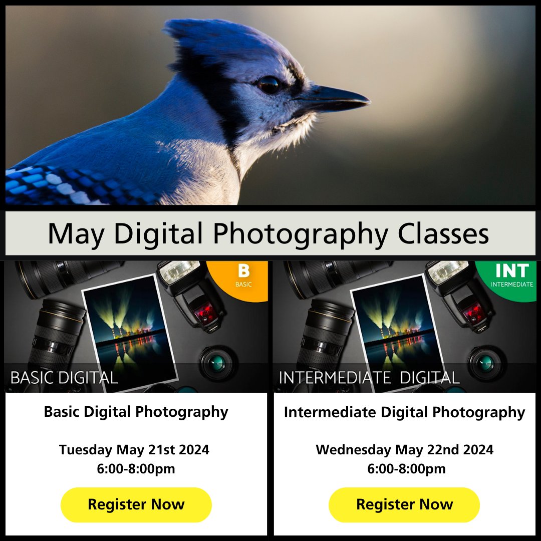 May Digital Photography Classes at Bergen County Camera  📷

Register now: eventbrite.com/o/bergen-count…

#bergencountycamera #photography #shoplocal #bergencounty #nikon #canon #bestofnewjersey #njphotographers #supportsmallbusiness