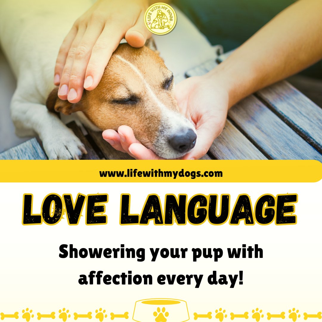 Every woof deserves a shower of love! 🚿💖Discover more dog information, visit lifewithmydogs.com #dogquotes #lovedogs #lifewithmydogs