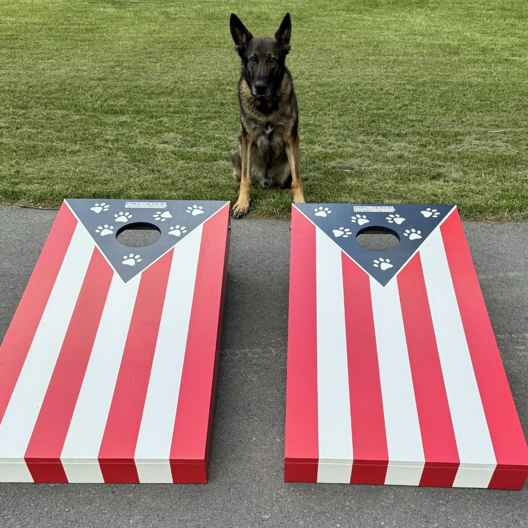 K9 Barney and Blue Ridge Cornhole are here to show off the wonderful cornhole set to be auctioned off at our 6th Annual Golf Tournament this Friday!!

#cornhole #golftournament #workingdog #k9 #k9s #leo #smallbusiness #germanshepherd #malinois