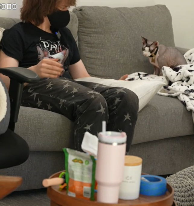 bio the unbeloved 👾 tweet media