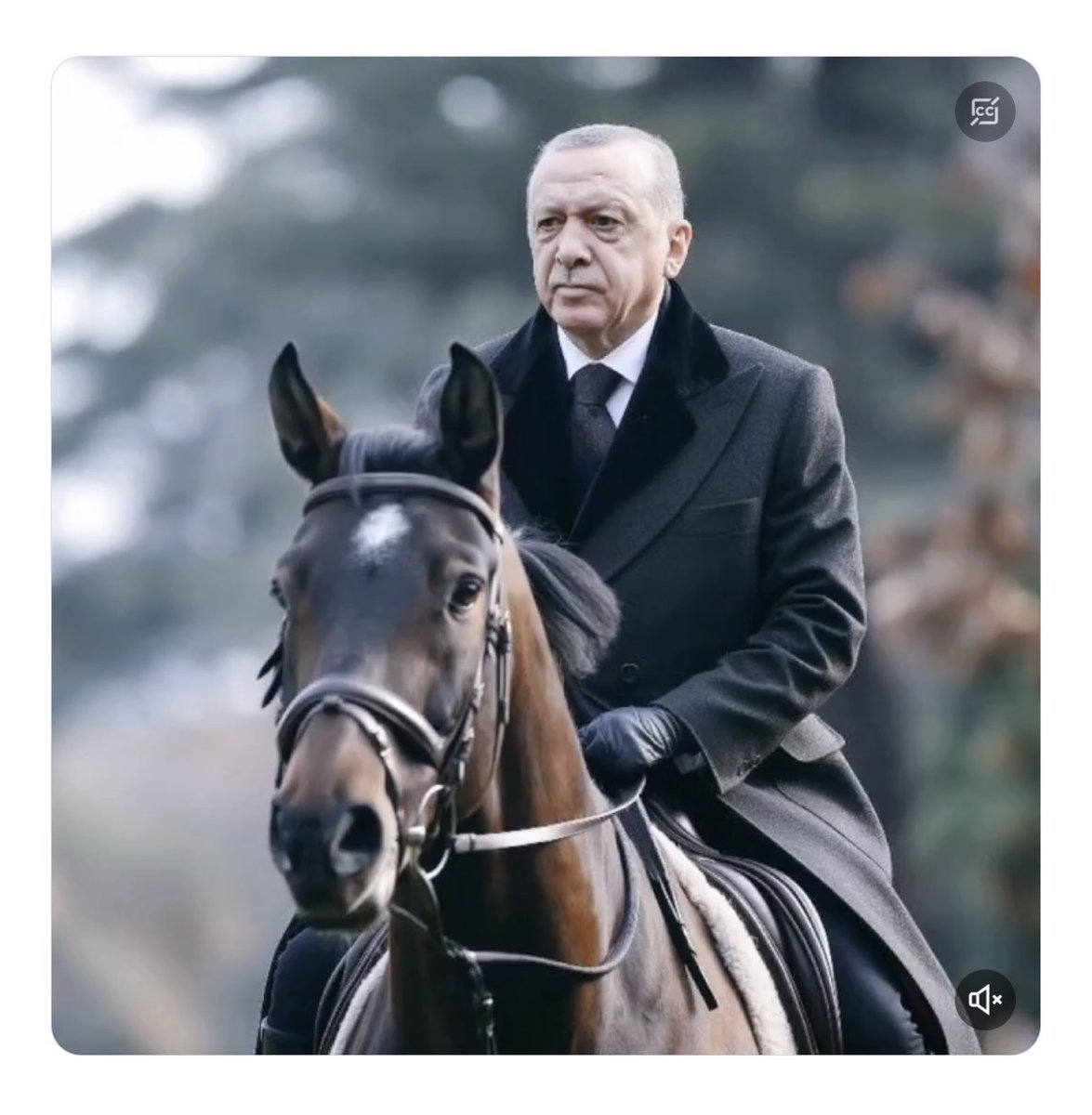 Devletimiz var olsun🇹🇷 Cumhurbaşkanı Erdoğan’ın yanındayım.