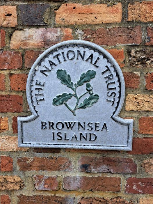 Have you ever visited Brownsea Island? Did you spot any of the two hundred & fifty plus Red Squirrels? I was thrilled to spot two on different parts of the island. @NationalTrust @DorsetWildlife @VisitDorset #redsquirrel #poole #sandbanks #redsquirrelconservation #brownseaisland