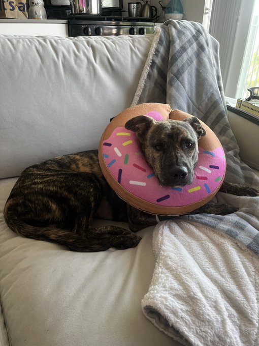 the baby is back https://t.co/19HaUmsumT