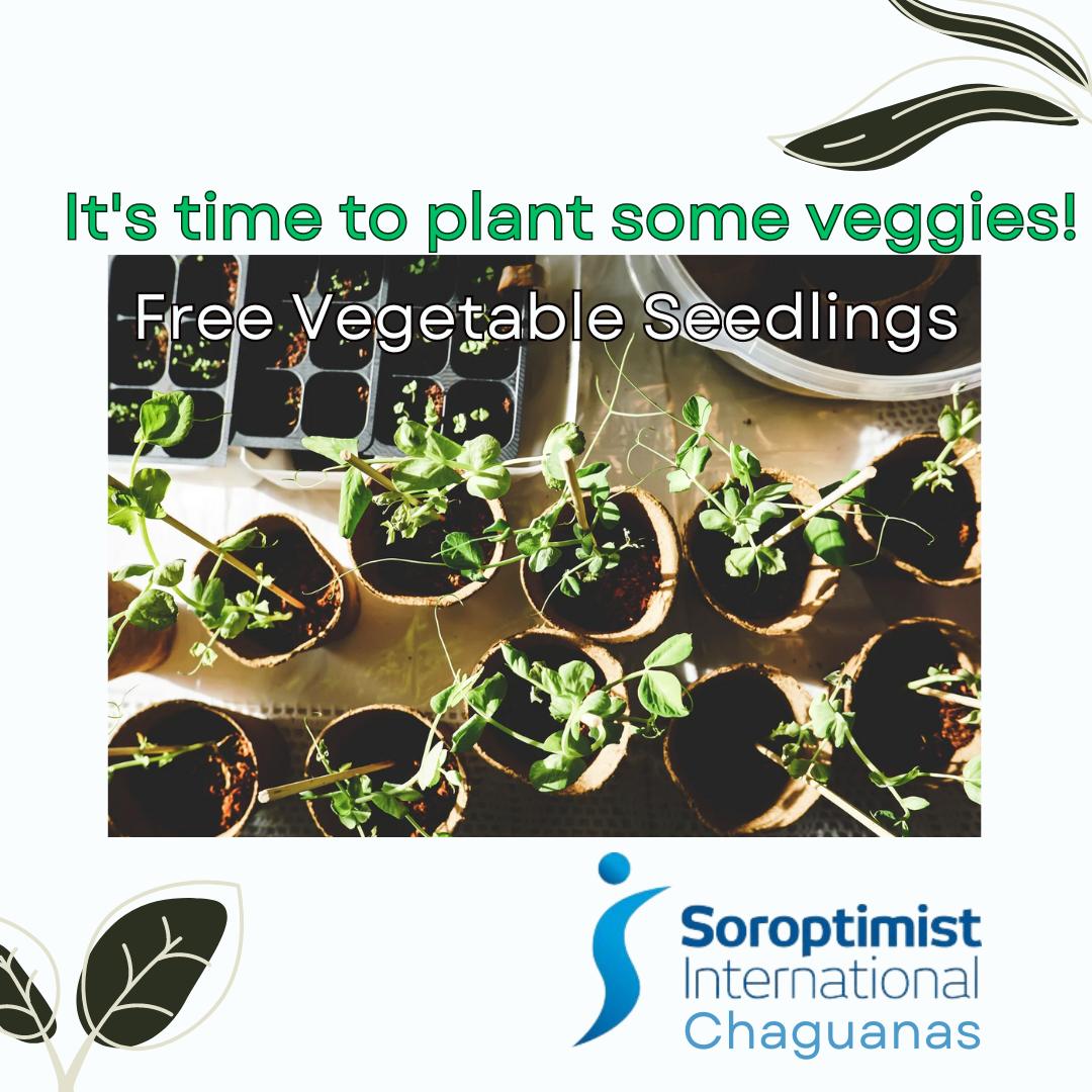 Ready to plant and grow your own veggies? SI Chaguanas will be giving free vegetable seedlings in June in honour of World Environment Day 2024. 
Stay tuned for more information on how you can get involved and join us in nurturing our planet!