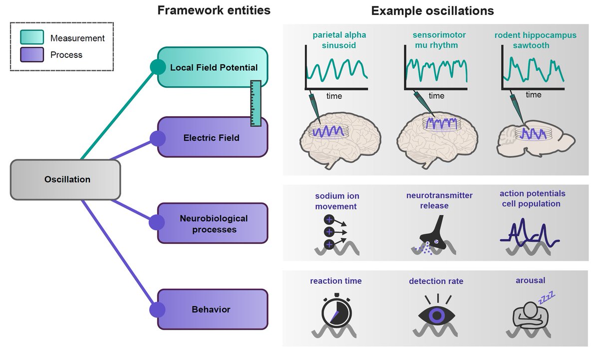 Neuronal oscillations, exhaust fumes or causally efficacious?? Check this great discussion in the Neuroscience & Philosophy Salon! With @sandervanbree @dlevenstein Matt Krause (@prokraustinator) Richard Gao (@_rdgao) Recording: youtu.be/myx914hfcic