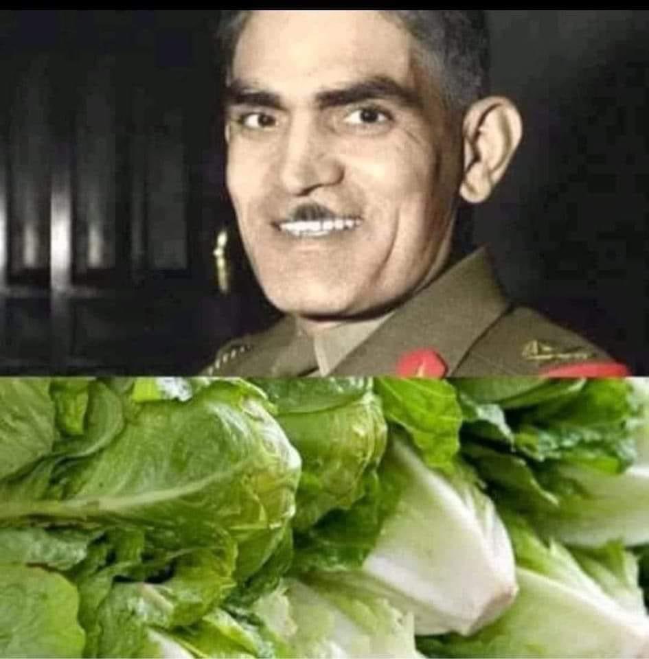 هاشم احمد tweet media