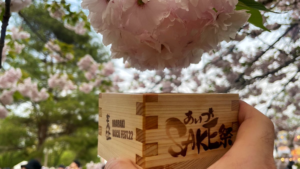#キックアップ
#長い話
お早うございます🌤️
今年は先ず2/10に伊豆半島の河津町で河津桜を見て、最後は4/28に東北のロックフェス「アラバキ」で桜を見ました🎸
半世紀生きてきて2か月半もの長いこと桜を見続けたのは初めてだったなあ🌸