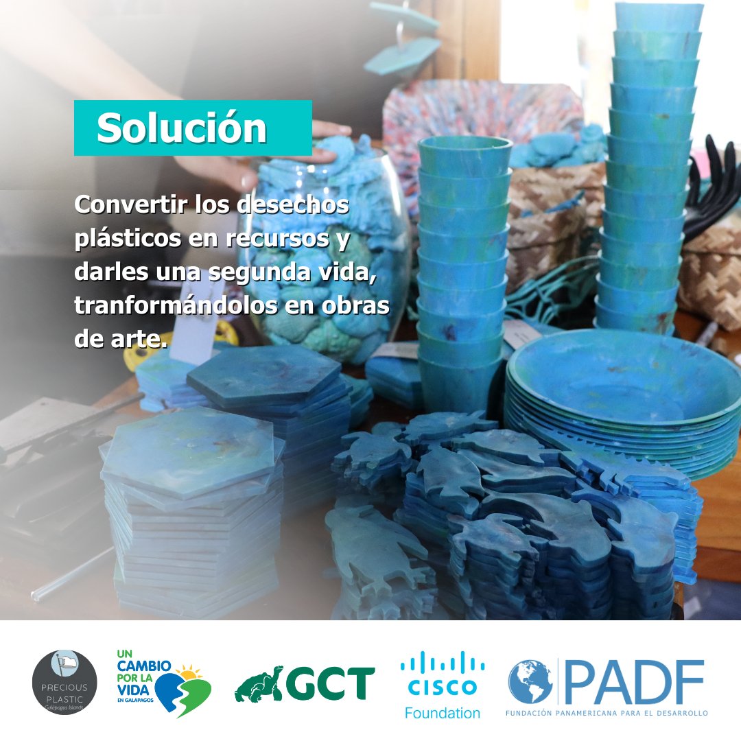 💫 Descubre el futuro sostenible del emprendimiento en Galápagos con Carolina Proaño y su proyecto 'Precious Plastic Galapagos'. ♻️ Sigue su emocionante progreso hacia la economía circular con el Proyecto #Galápagos3D. 🌍