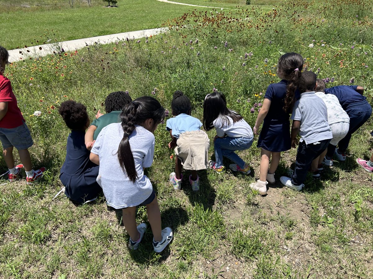 Learning walks ⁦@Jefferson_ELC⁩ making connections with our habitats! We’re expanding beyond the classroom while nurturing the whole child for success in #Pre-K and beyond ⁦@AliefISD⁩ ⁦@AliefPreK⁩ ⁦@AliefTchg_Lrng⁩ ⁦@HCPrecinct4⁩ ⁦@HOPECHC⁩