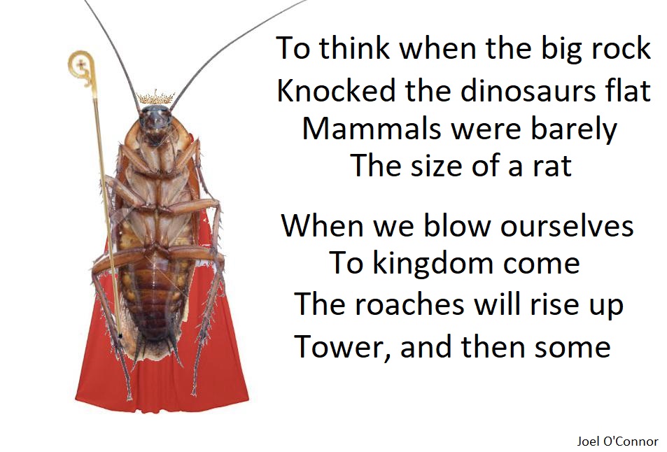To think when the rock
Knocked the dinosaurs flat
Mammals were barely
The size of a rat...

 #insectoverlords #NuclearPower #bombs #evolution  #Australia   #creativewriting #POEMS #poetry #poetrycommunity  #humanity #people #dinosaurs