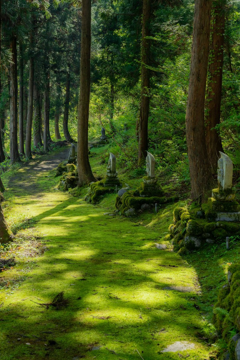 緑の参道、十日町市長命寺。