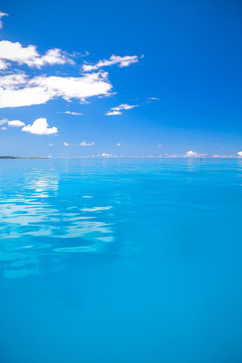 サンゴ礁の海のように
心もけがれなく穏やかに

癒しの沖縄離島 石西礁湖