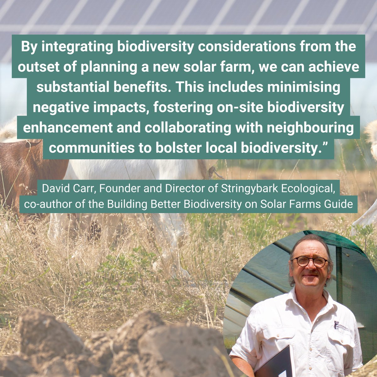 Our Building Better Biodiversity on Solar Farms Guide is here! The Guide illustrates how, with early planning, nature restoration & regenerative farming practices can achieve a net gain in biodiversity, without compromising solar generation capacity 🌞⚡️ cpagency.org.au/better-biodive…