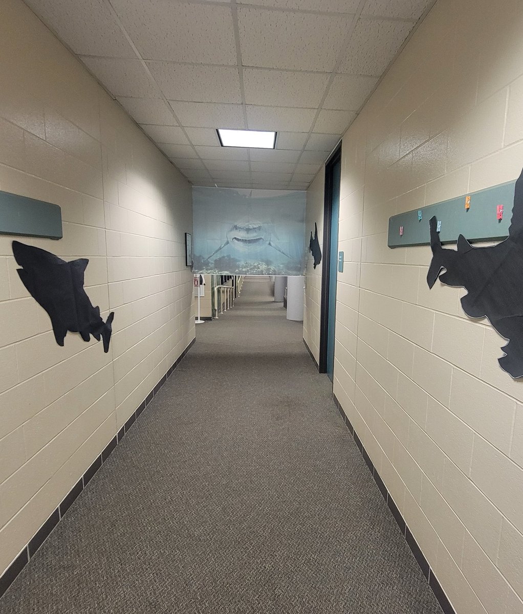 Shark week is not for the faint of heart! #firstgrade #growinggreatness <a href="/HumbleISD/">Humble ISD</a> <a href="/HumbleISD_HHE/">Hidden Hollow Elementary</a> <a href="/HumbleElemMath/">Humble ISD Elementary Math</a> <a href="/Humble_ElemELA/">Humble ISD Elementary ELA</a>