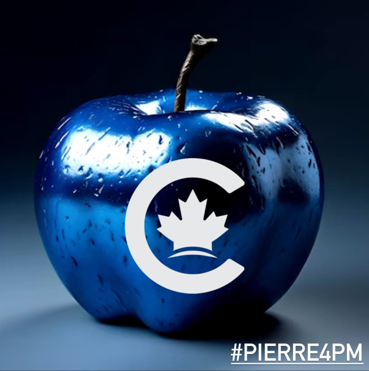 @liberal_party Thank you @liberal_party for pointing out how @PierrePoilievre will bring Canada back to when Life was more affordable, more peaceful, more prosperous and much more productive and secure. Cannot wait until a lot less WACKOS in Government. 
#TrudeauBrokeCanada 
#Pierre4PM