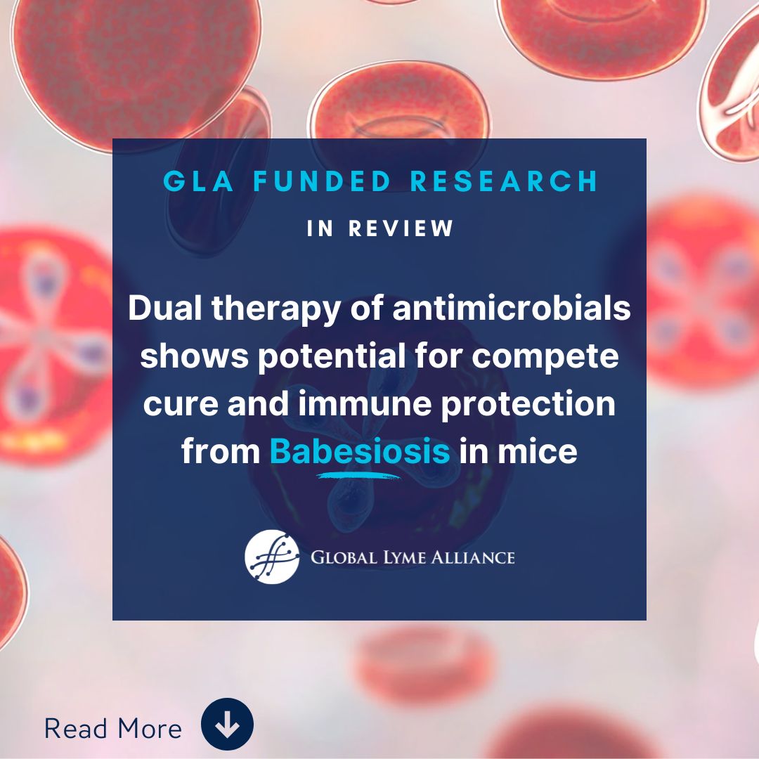 🔬 This week, we are spotlighting Dr. Choukri Ben Mamoun's groundbreaking research on Babesiosis 🧬. The breakthrough might just revolutionize our approach to combating Babesiosis hubs.la/Q02x7WKs0 #Lymeawareness #BabesiosisBreakthrough 🌟