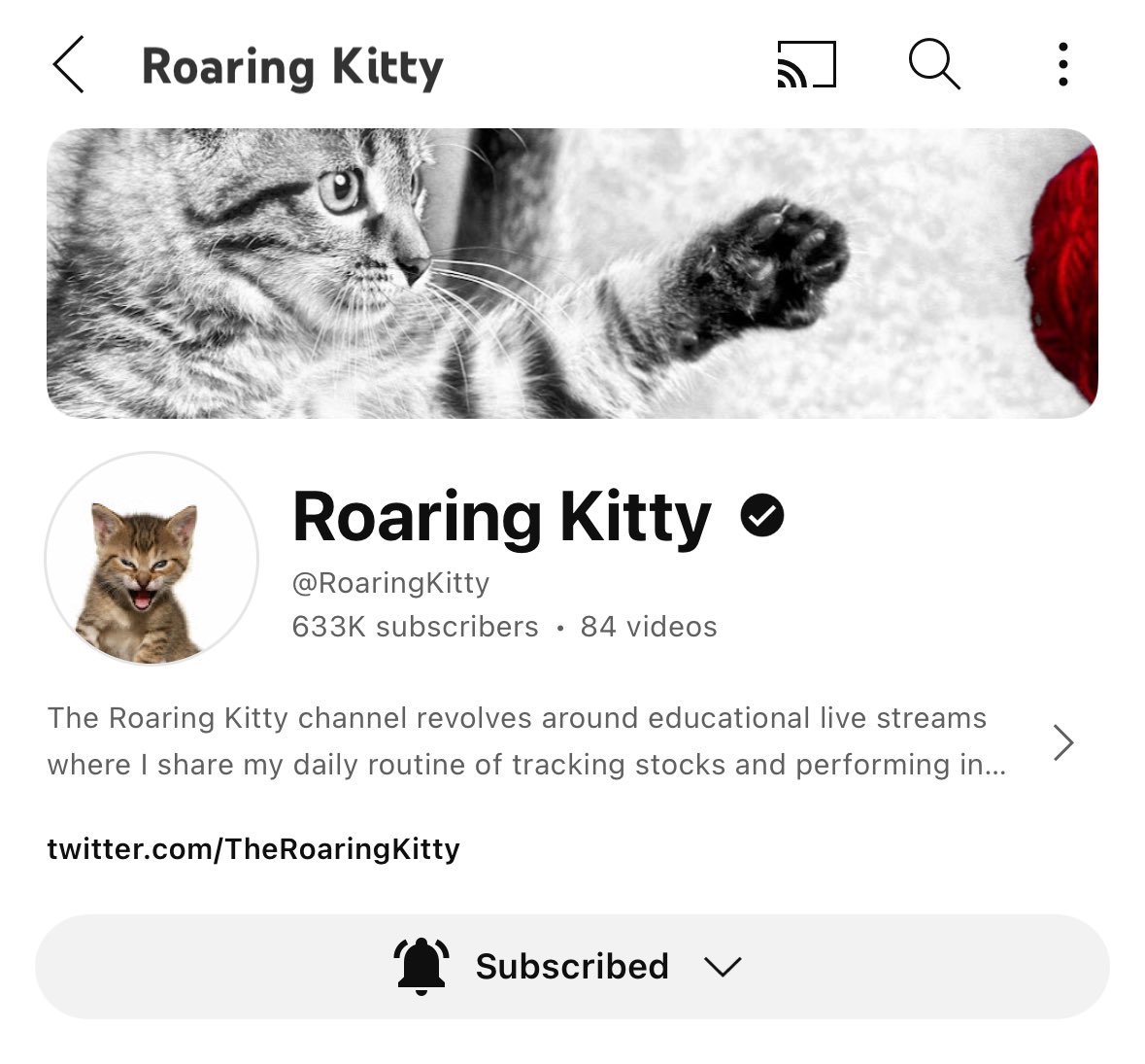 🚨🚨🚨 @TheRoaringKitty has updated his YouTube channel, not a drill! TikTok link has been removed! When live stream??? 😤😤😤