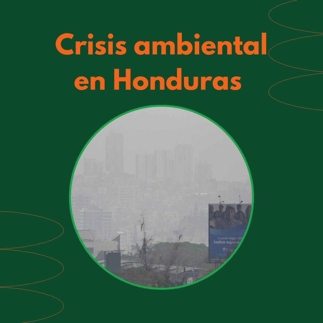 Fridays For Future Honduras tweet media