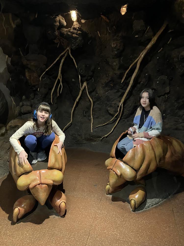 Mrs. Helfand (@mrshelfand) on Twitter photo An amazing field trip to the Field Museum. Many thanks to our incredible parent chaperones for spending the day with us! ā¦<a href="/SkokieSD69/">School District 69</a>ā© ā¦<a href="/EdisonDolphins/">Edison Elementary</a>ā© An amazing field trip to the Field Museum. Many thanks to our incredible parent chaperones for spending the day with us! ā¦<a href="/SkokieSD69/">School District 69</a>ā© ā¦<a href="/EdisonDolphins/">Edison Elementary</a>ā©