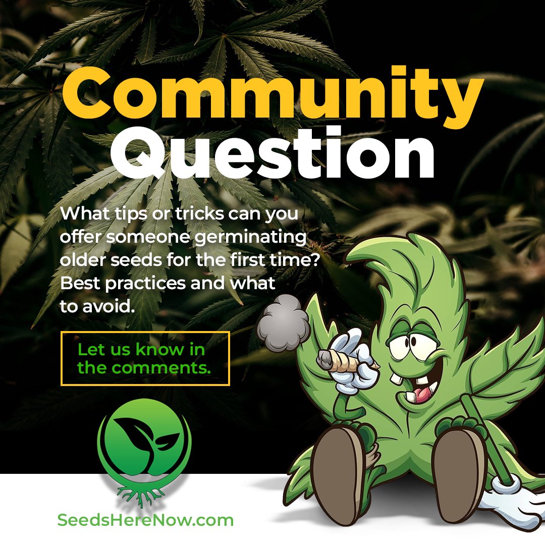 Here's you chance to impart your knowledge and help educate our community. Let's see what you've got! 🧐

#seedsherenow #growbudyourself #CannabisCommunity #cannabislife #420friendly #420Life #cannabisgrowers