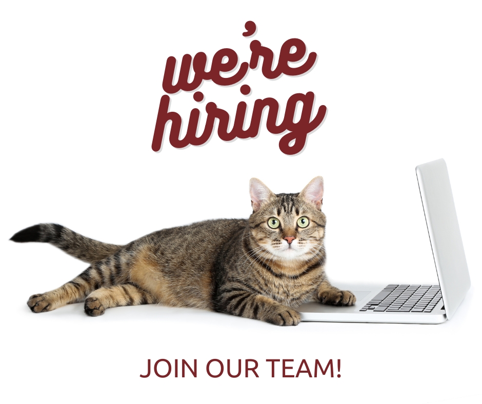 Join our team! We are hiring for the position of Director, Marketing and Community Engagement. We're looking for an enthusiastic person to take on this role. If you think you'd be a good fit for this position, please apply through Indeed. kwsphumane.ca/careers