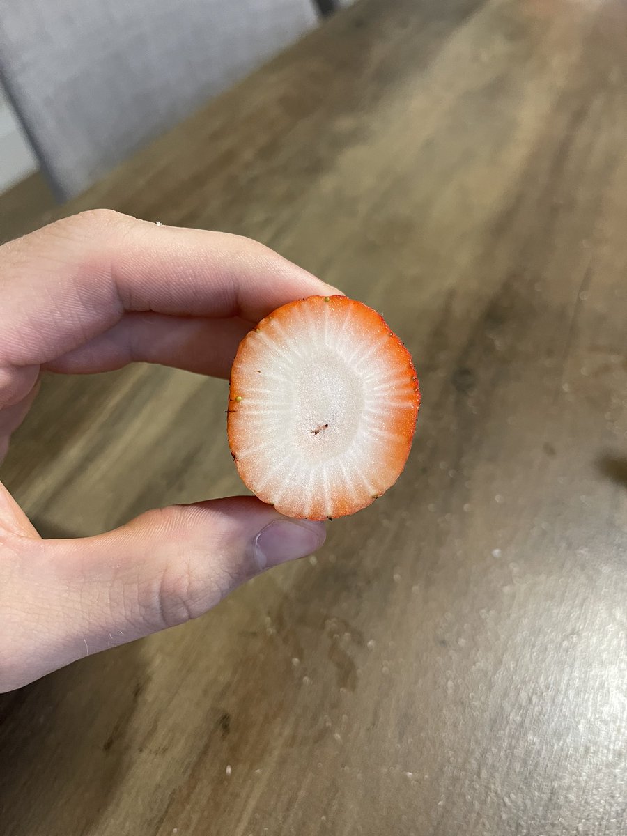 Is this even a strawberry at this point?