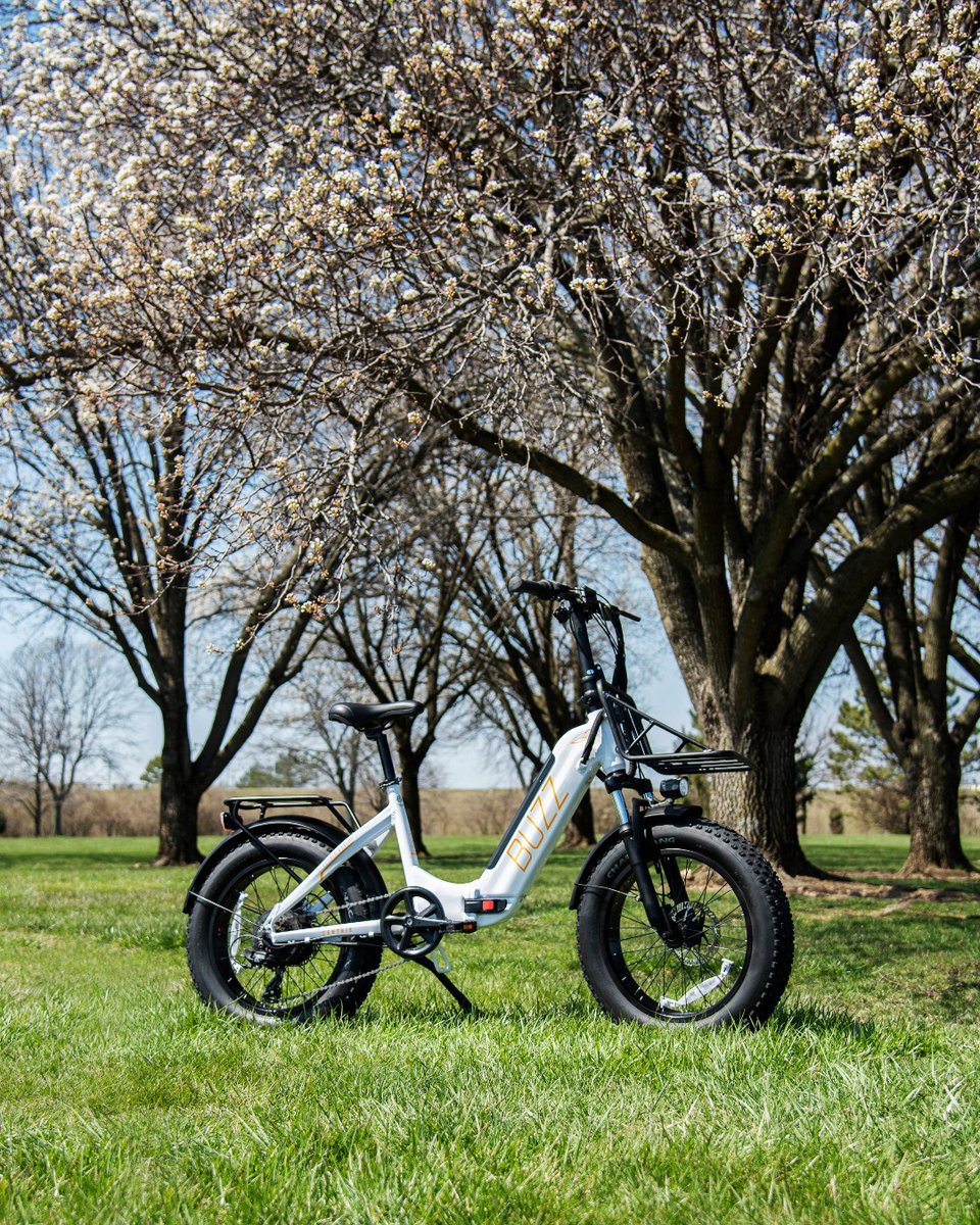 Buzz your way through the flowers this spring 🐝 

#Ebikes #ElectricBike #BuzzThroughLife