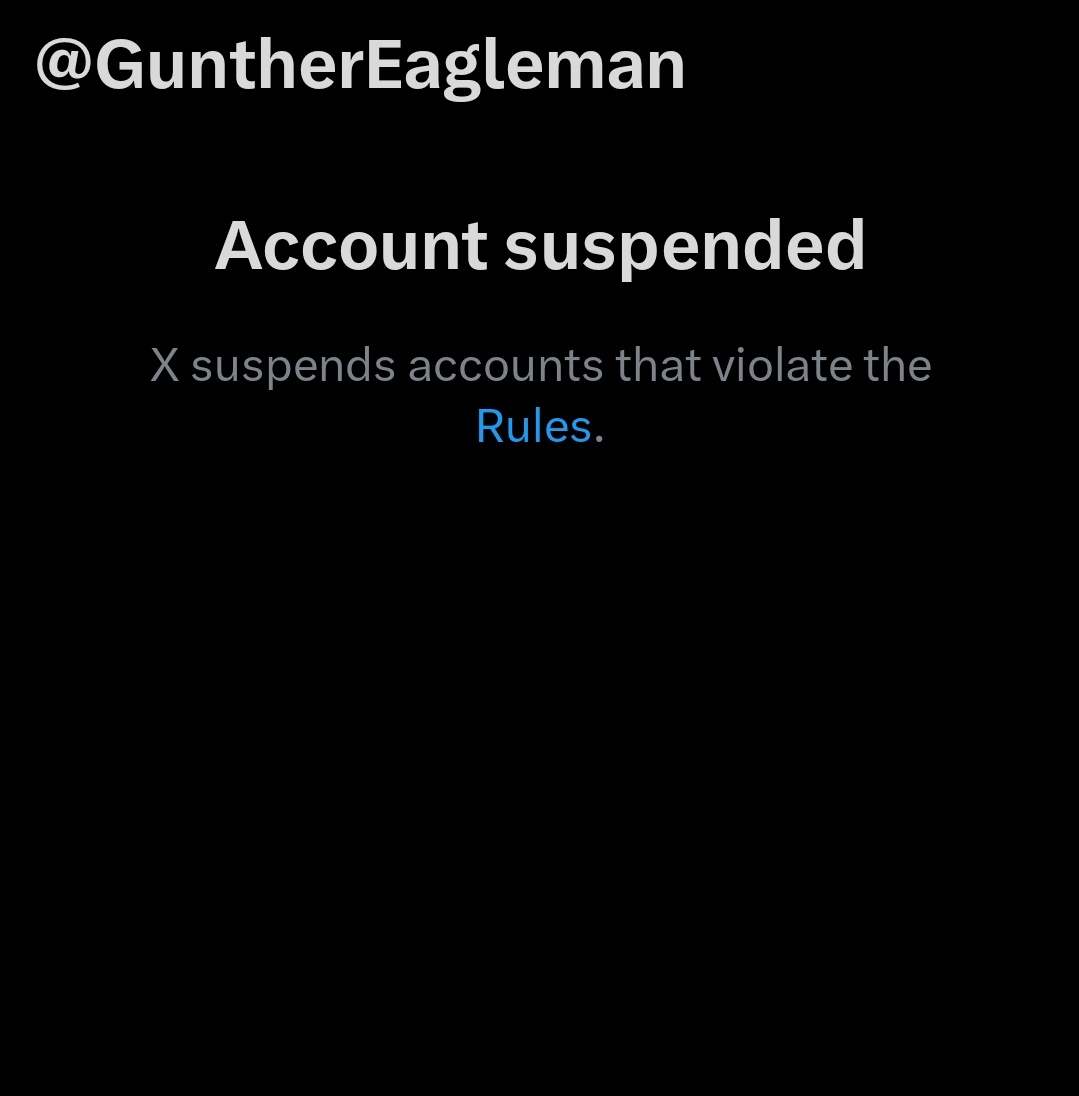 Gunther Eagleman has just been suspended from X for no apparent reason.. WHAT IS GOING ON?