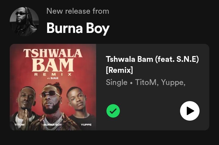 New Burna Boy out now😍😍🔥🔥