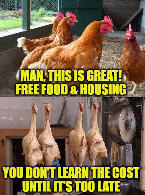 Free food and housing...