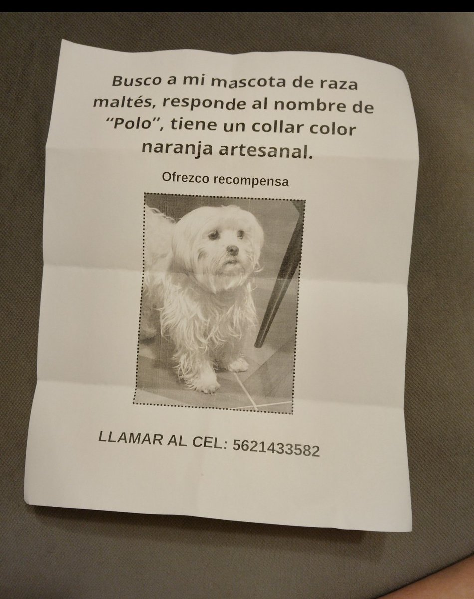 Ayuda a encontrar a este perrito en Tláhuac el sábado en la tarde 🐕 @PrrosPerdidosMX @QuePocaMadre_Mx @LicAnimalista @TlahuacRenace @sebuscaCdMx @EsEstra