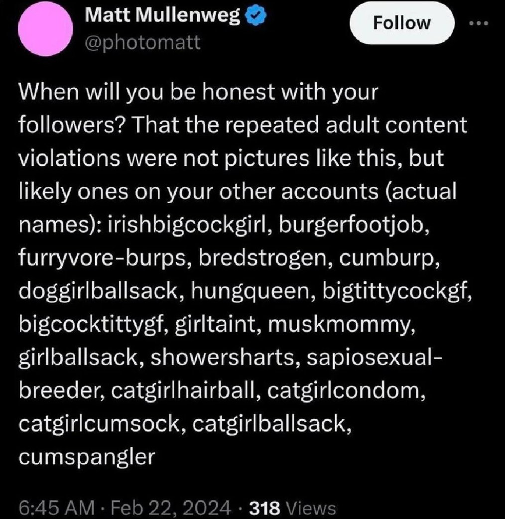 tumblr's CEO getting in a fight with someone, tweeting this and then immediately deleting it was so funny