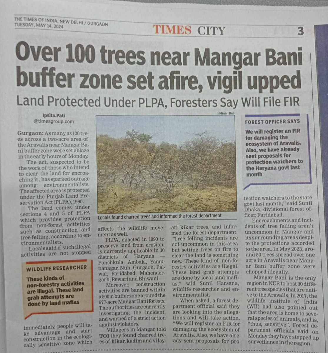 Land mafia set 100 trees on fire near protected Mangar Bani buffer zone @SunilHarsana @lifeindia2016 @rahuulchoudhary @debadityo @rameshpandeyifs Read the full story here shorturl.at/bOZ37