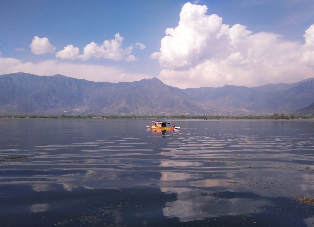 Dal Lake Srinagar 🌸🍃🌱 ❤️ 
#dallake 15.5.24