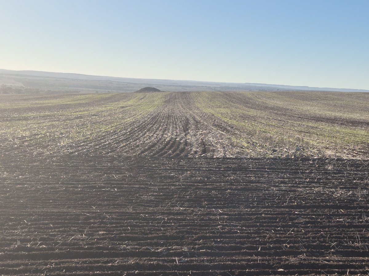 Peter daw (@4peterdaw) on Twitter photo Gravel strips Gravel strips