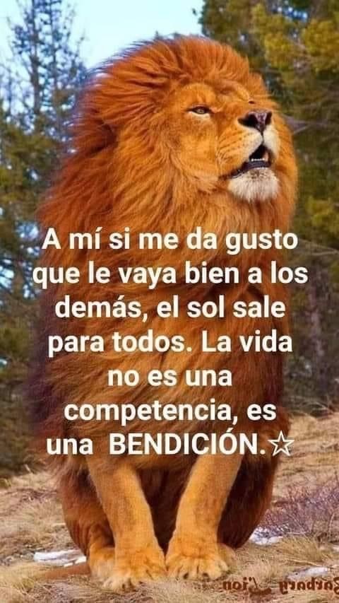 Lorena (@loretmus) on Twitter photo <a href="/LeonaMarielah/">MarielaDeSonora</a> <a href="/Luccy_007/">Lucy</a> <a href="/Fany_2123/">@Fany</a> <a href="/Pu_quis/">Puquis</a> <a href="/PatyTmUs/">Paty</a> <a href="/Rosy_453/">Rossana</a> <a href="/Dinorah055/">Dinorah 🌿🌹🌿</a> @AlmitaMx1 <a href="/ClasXalapa/">Michelle</a> <a href="/Cecy_1Mex/">Cecy</a> <a href="/Riana_077/">Ríana_077</a> <a href="/Karina22_DF/">Karina ✍️</a> <a href="/BrisaM01/">Brisa</a> <a href="/Selop_/">Sebastián 🛫</a> ╦═╗
║╣OllOW ➡️
╩
#LosAmigosDeLaLeona 🦁💞
<a href="/Luccy_007/">Lucy</a>
<a href="/Fany_2123/">@Fany</a>
<a href="/Pu_quis/">Puquis</a>
<a href="/PatyTmUs/">Paty</a>
<a href="/Rosy_453/">Rossana</a>
<a href="/Dinorah055/">Dinorah 🌿🌹🌿</a>
@AlmitaMx1
<a href="/LoreTmUs/">Lorena</a>
<a href="/ClasXalapa/">Michelle</a>
<a href="/Cecy_1Mex/">Cecy</a>
<a href="/Riana_077/">Ríana_077</a>
<a href="/Karina22_DF/">Karina ✍️</a>
<a href="/BrisaM01/">Brisa</a>
<a href="/Selop_/">Sebastián 🛫</a>
Gracias por la mención Mariela querida 😊 <a href="/LeonaMarielah/">MarielaDeSonora</a> <a href="/Luccy_007/">Lucy</a> <a href="/Fany_2123/">@Fany</a> <a href="/Pu_quis/">Puquis</a> <a href="/PatyTmUs/">Paty</a> <a href="/Rosy_453/">Rossana</a> <a href="/Dinorah055/">Dinorah 🌿🌹🌿</a> @AlmitaMx1 <a href="/ClasXalapa/">Michelle</a> <a href="/Cecy_1Mex/">Cecy</a> <a href="/Riana_077/">Ríana_077</a> <a href="/Karina22_DF/">Karina ✍️</a> <a href="/BrisaM01/">Brisa</a> <a href="/Selop_/">Sebastián 🛫</a> ╦═╗
║╣OllOW ➡️
╩
#LosAmigosDeLaLeona 🦁💞
<a href="/Luccy_007/">Lucy</a>
<a href="/Fany_2123/">@Fany</a>
<a href="/Pu_quis/">Puquis</a>
<a href="/PatyTmUs/">Paty</a>
<a href="/Rosy_453/">Rossana</a>
<a href="/Dinorah055/">Dinorah 🌿🌹🌿</a>
@AlmitaMx1
<a href="/LoreTmUs/">Lorena</a>
<a href="/ClasXalapa/">Michelle</a>
<a href="/Cecy_1Mex/">Cecy</a>
<a href="/Riana_077/">Ríana_077</a>
<a href="/Karina22_DF/">Karina ✍️</a>
<a href="/BrisaM01/">Brisa</a>
<a href="/Selop_/">Sebastián 🛫</a>
Gracias por la mención Mariela querida 😊