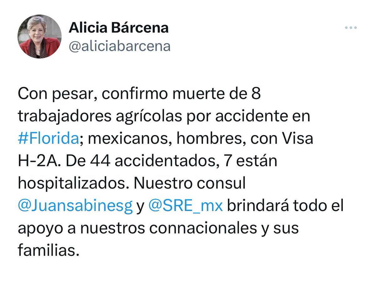 #ALMOMENTO | La canciller Alicia Bárcena confirma la muerte de 8 mexicanos por el accidente automovilístico en Florida; 7 más se encuentran hospitalizados