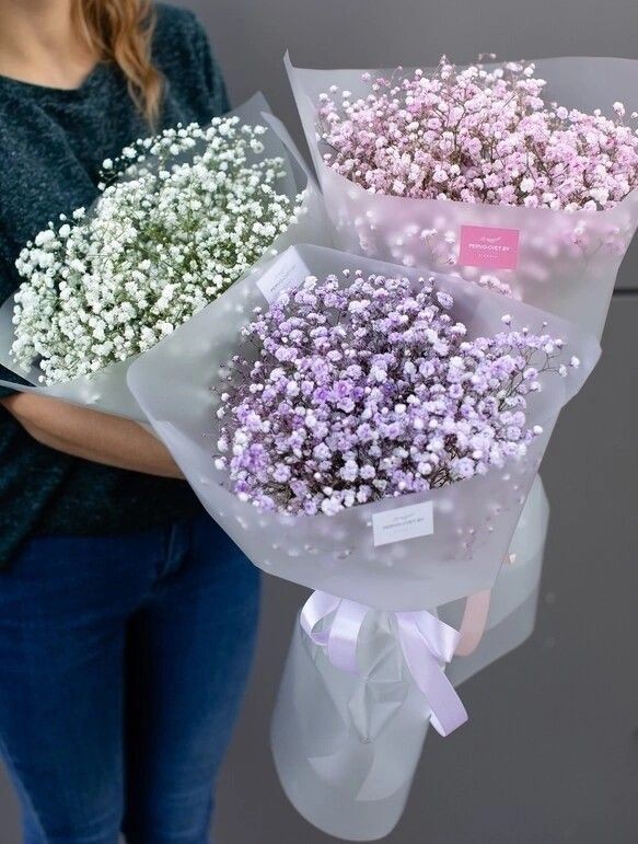 Fun fact: The reason why Gypsophila is widely known as Baby’s Breath is that it’s charming and innocence look which resembles a little baby. 

Source: Pinterest & Craftway Floral