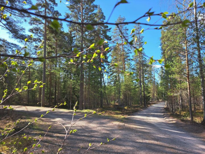 Valkon monipuolinen ulkoilureitti
Valkon 3 km:n pituinen ulkoilureitti tarjoaa monipuolisia kokemuksia mäntymetsän keskellä.

loviisa.fi/ajankohtaista/…