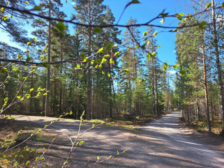 Mångsidig friluftsled i Valkom
Den 3 km långa friluftsleden erbjuder mångsidiga upplevelser mitt i en tallskog.

loviisa.fi/sv/nyheter/upp…