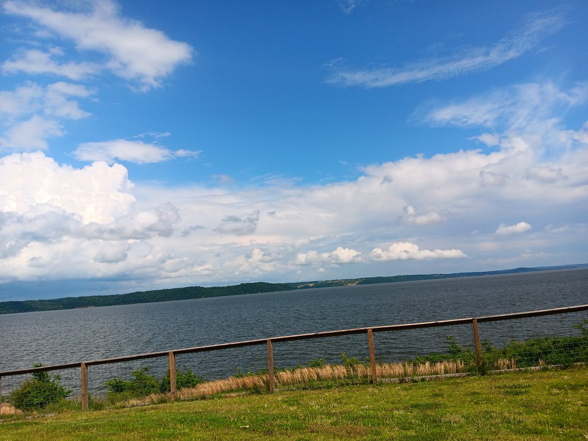 Paris Landing State Park is absolutely beautiful!! The hotel we're staying at is very handicapped accessible!! Right on the river!!